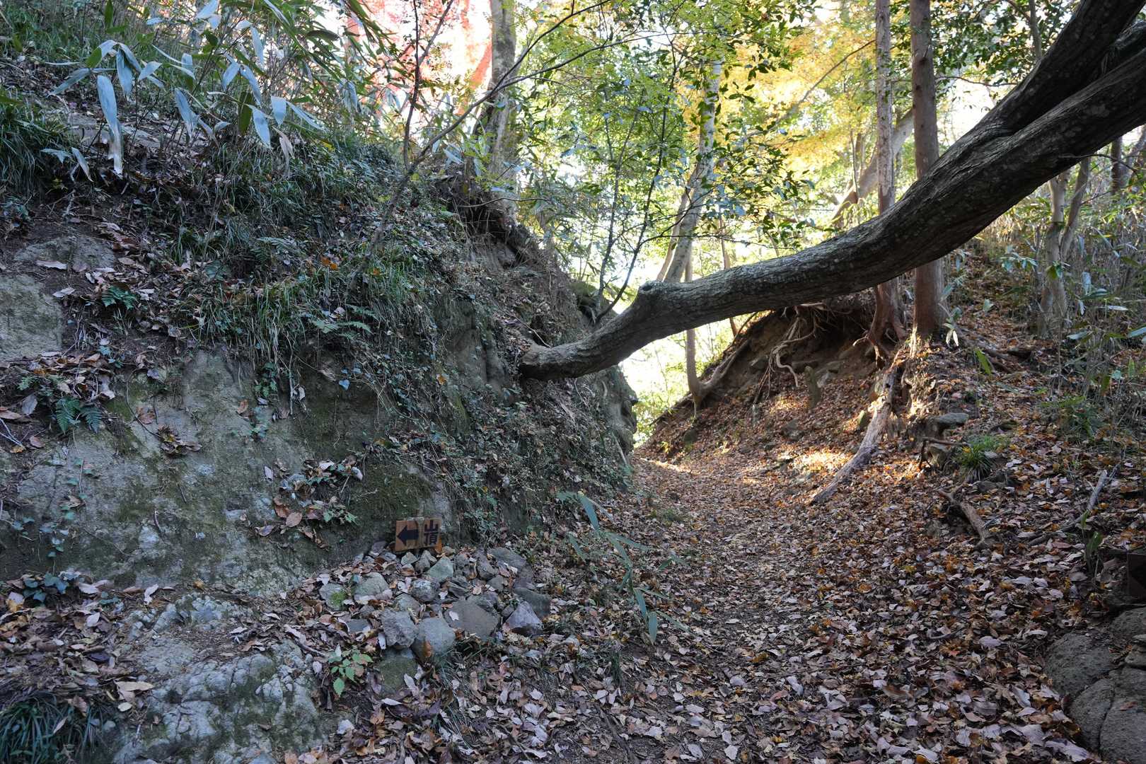 左側を登る