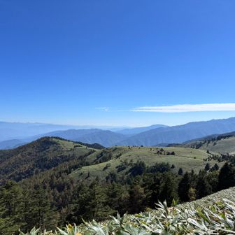 余力があればあちらにも行きたいけど、残念ながら余力ナシ