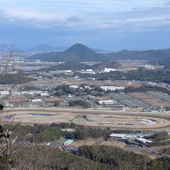 お馬さんの鍛錬場　大津しか頭になかったけど近辺は栗東の領域でもある