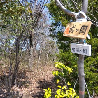 急坂を登ると城ケ岡に着きます。急坂の分見通しも良い所でした。当然下山も急で雨後は避けたほうが良いみたいです