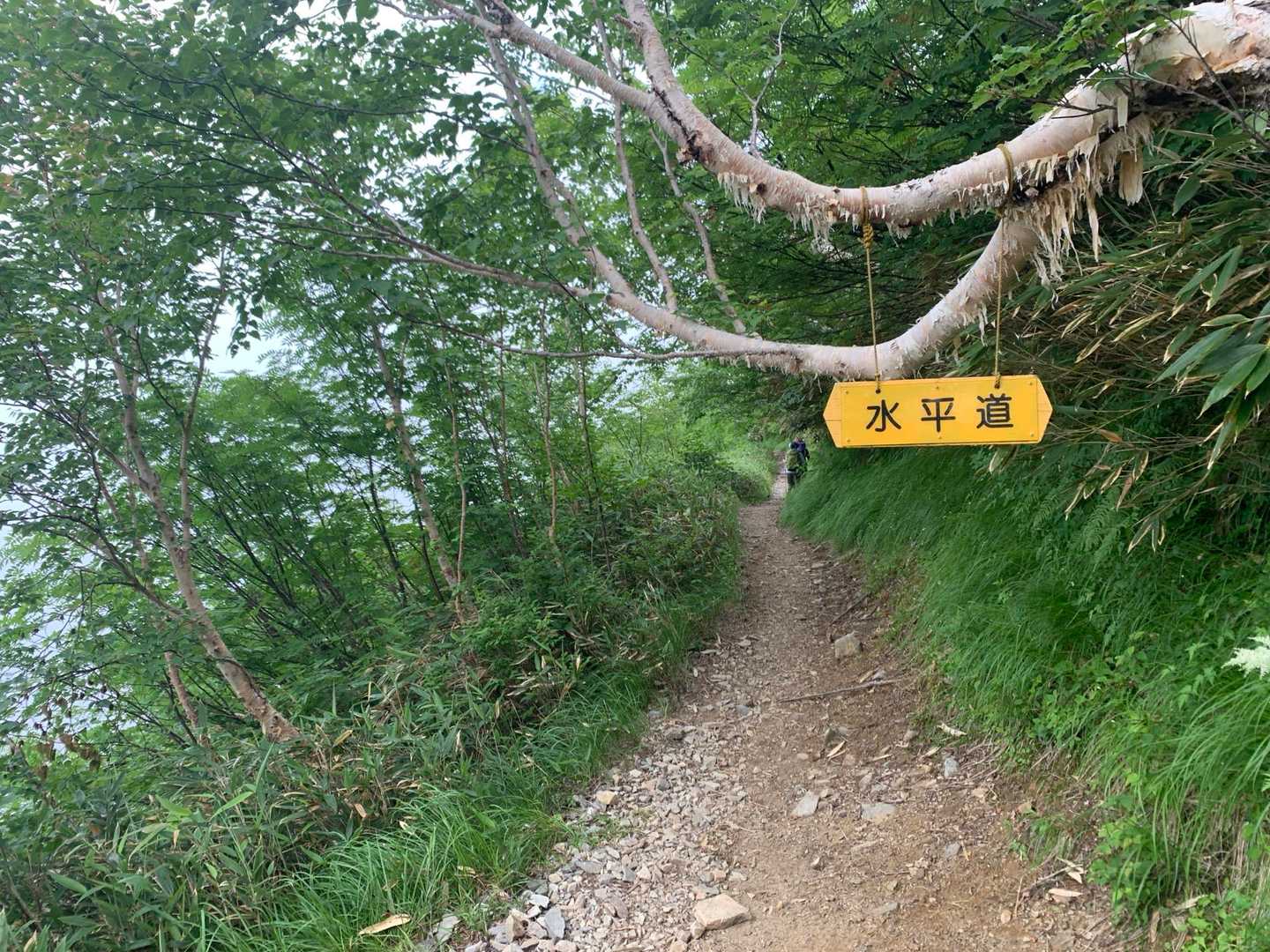 水平道、
登山で一番好きな言葉❤️