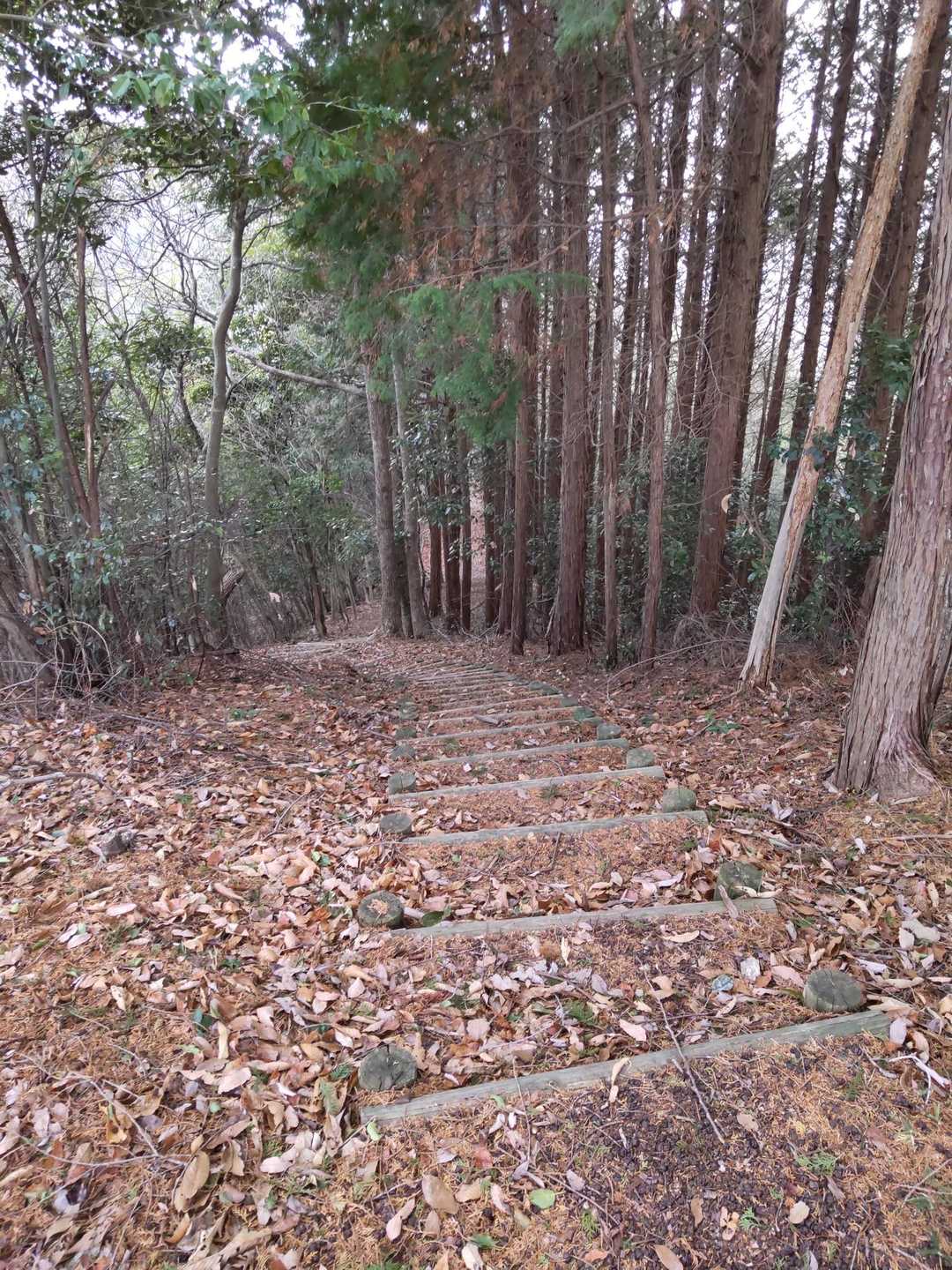 一旦、下るみたい