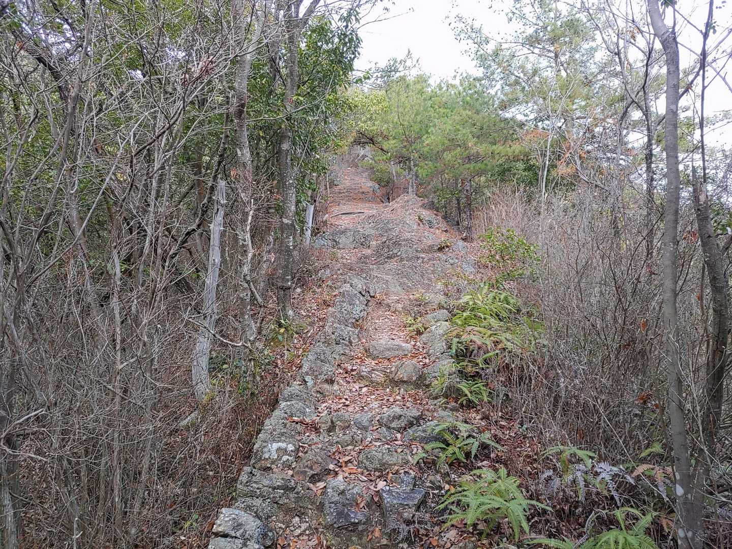 自然石を積んだ参道