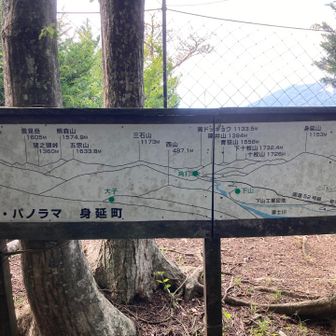 展望台に到着！！
防獣ネットが目の前に張り巡らされて、思ったほど眺望良くないです(＞＜)