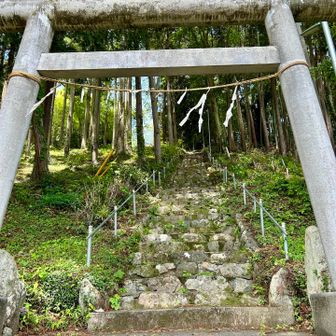 降りてきて、ここから車道歩き