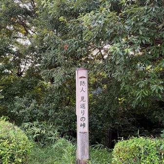 万葉集にも出てくる防人見返りの峠🤭
よこやまの道で最も眺望が良い場所かな。