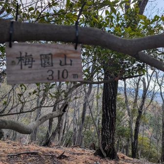 梅園山を通過👣💨(梅園城跡らしい)