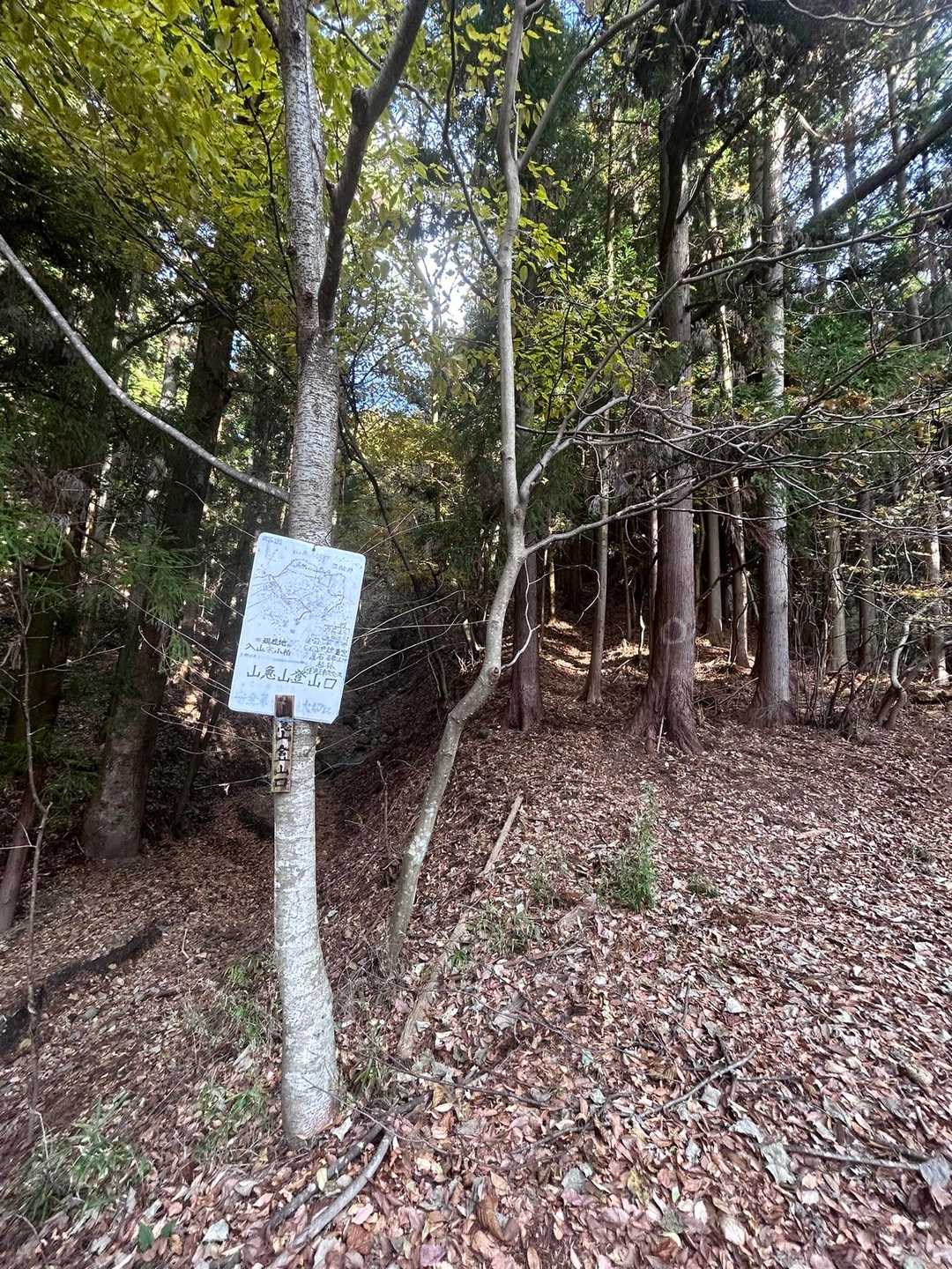 この看板まで林道歩き