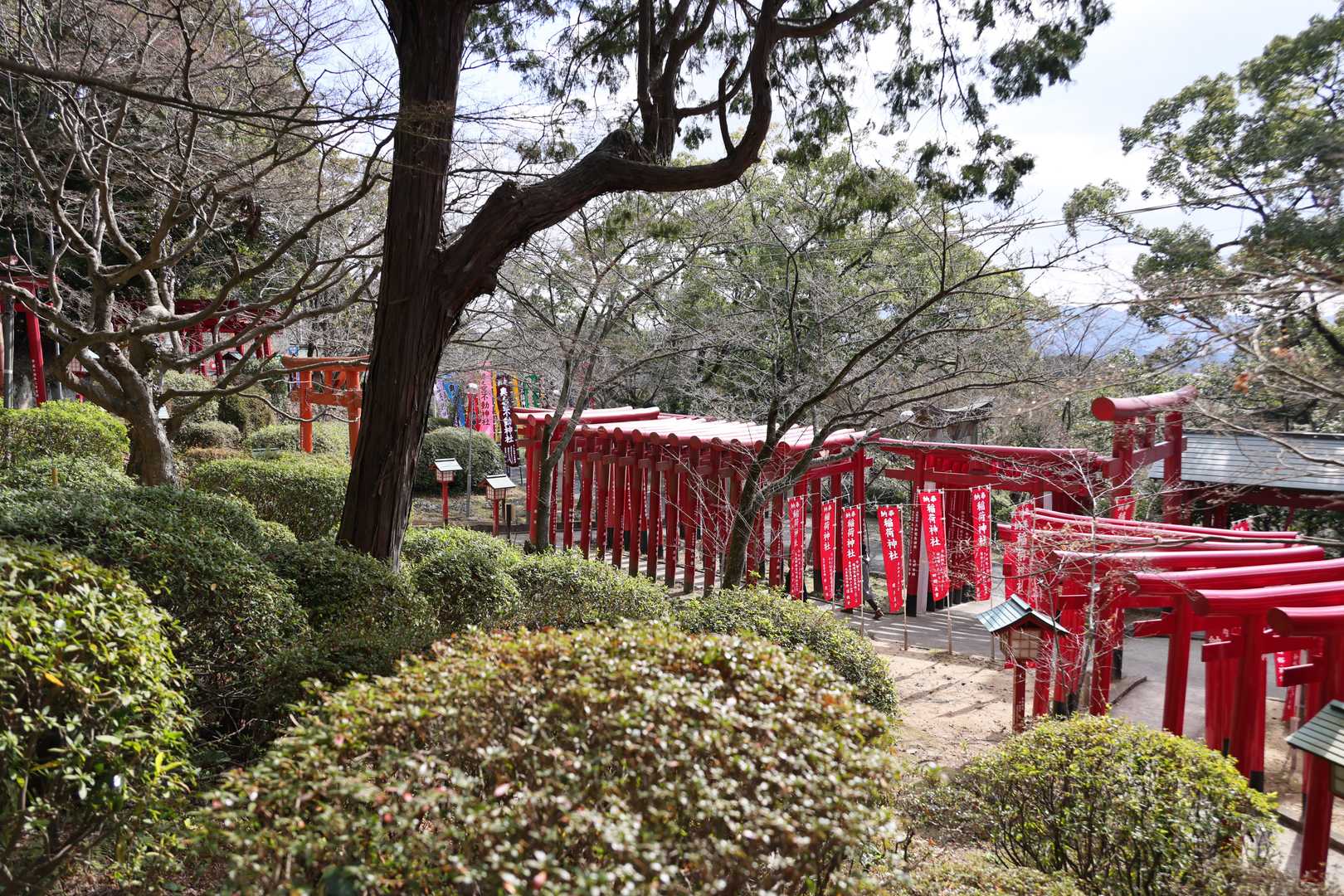 宮地嶽神社-宮地山-在自山 往復コースの写真