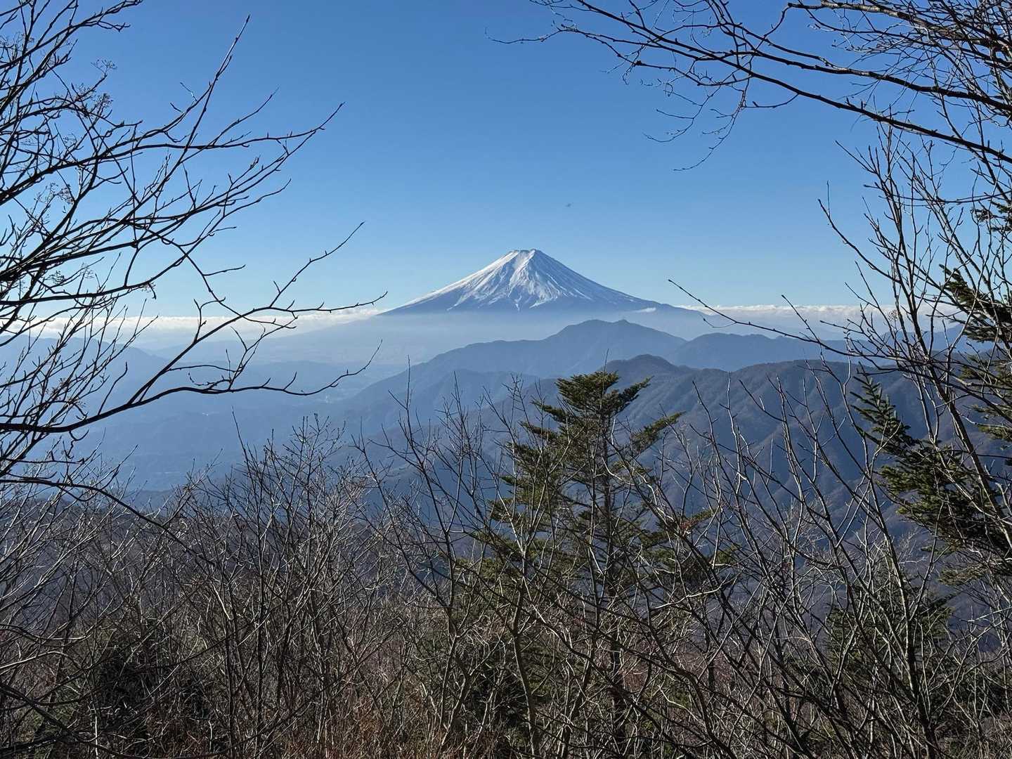 おお〜いい！