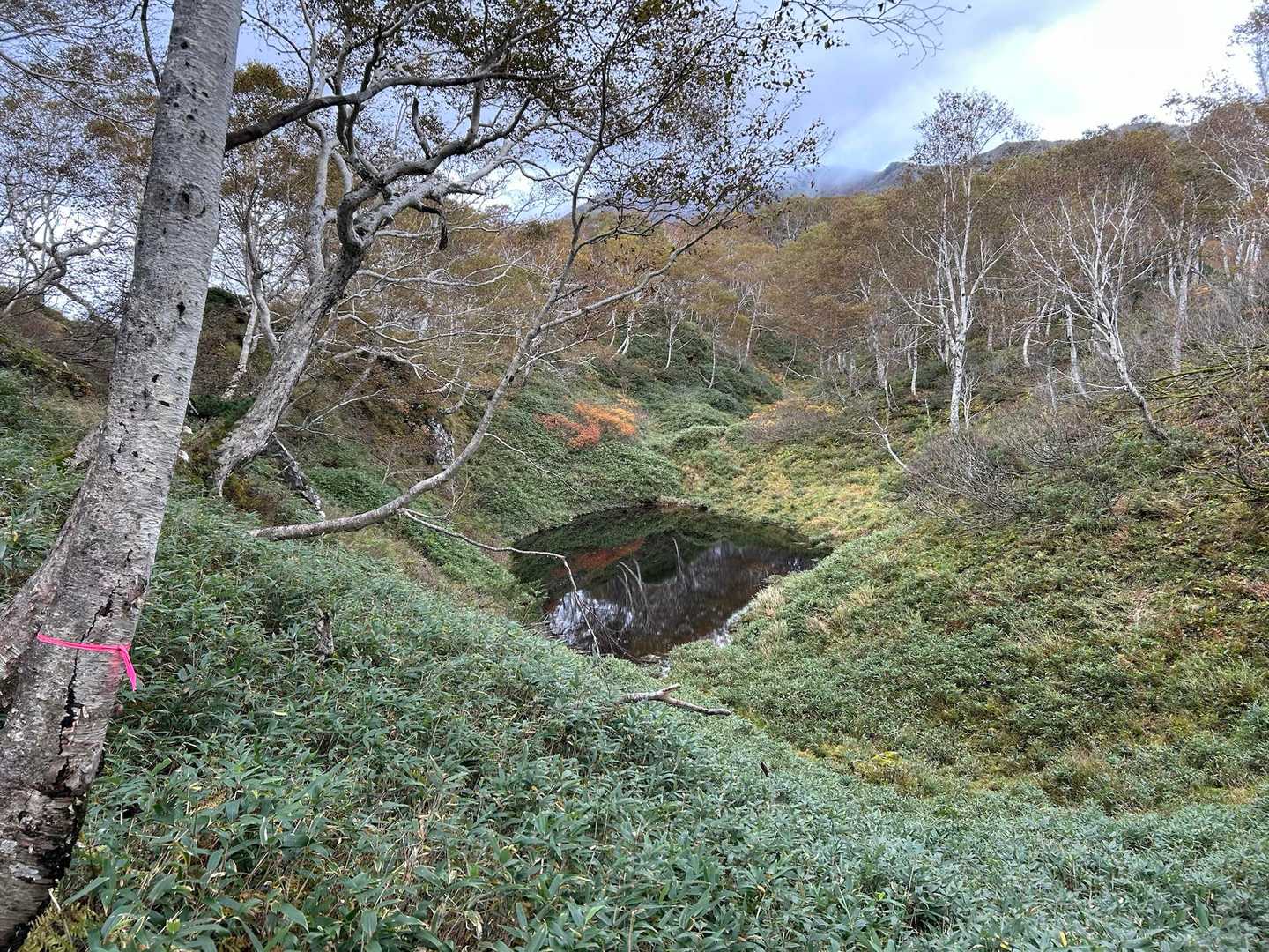 ピンテ辿ると、この沼の周辺を歩きます
YAMAPのルートと違う所歩きます