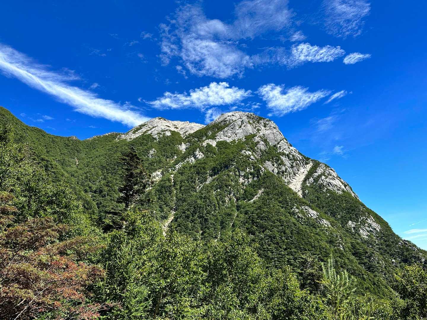 北沢峠-北沢峠バス停-栗沢山-仙水峠 周回コースの写真