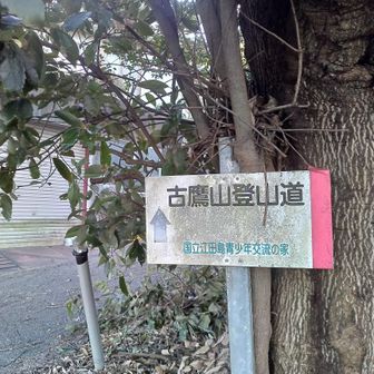 駐車場に車を止めて活動開始。