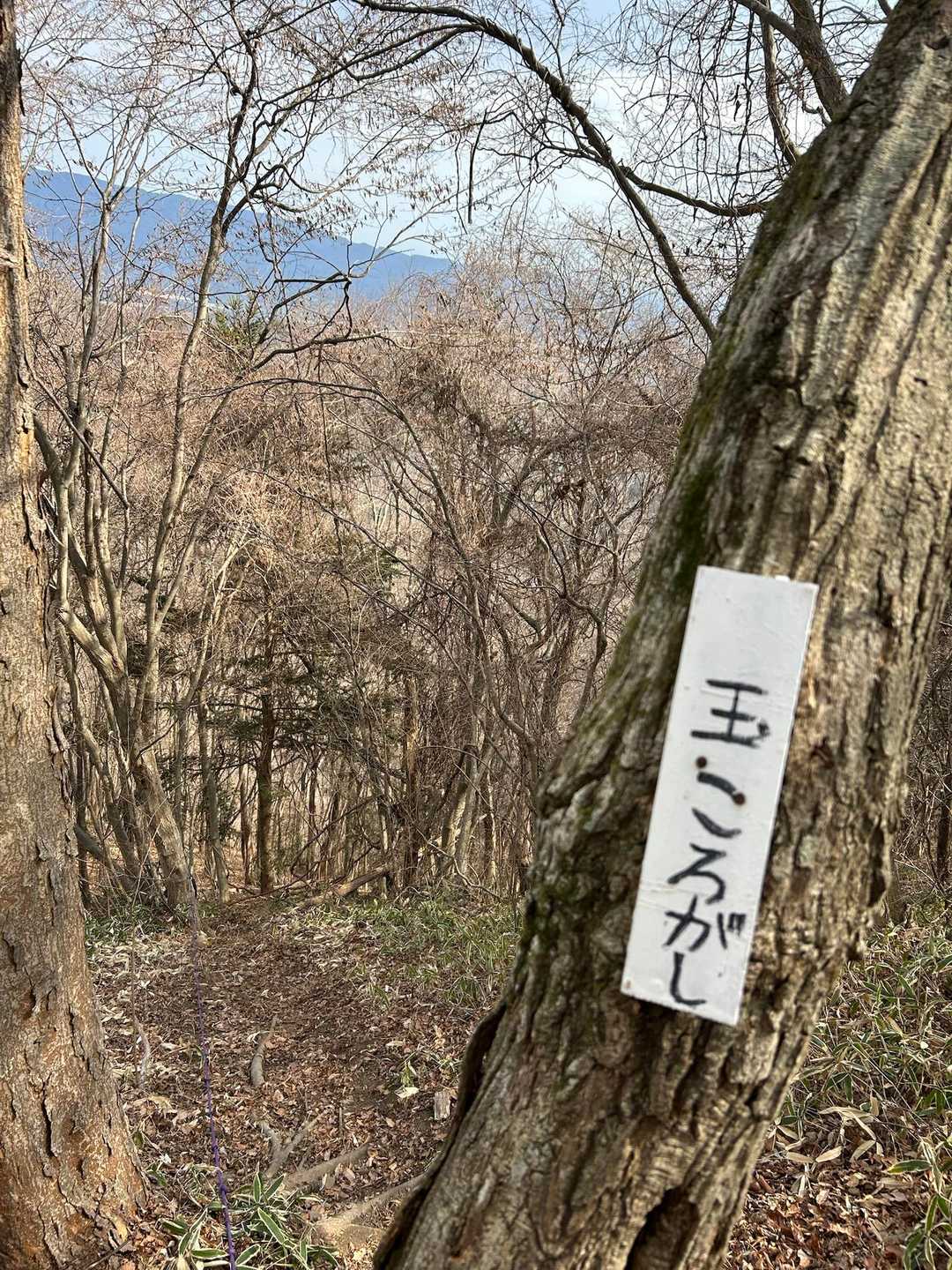 剣ヶ峰-水石山 往復コースの写真