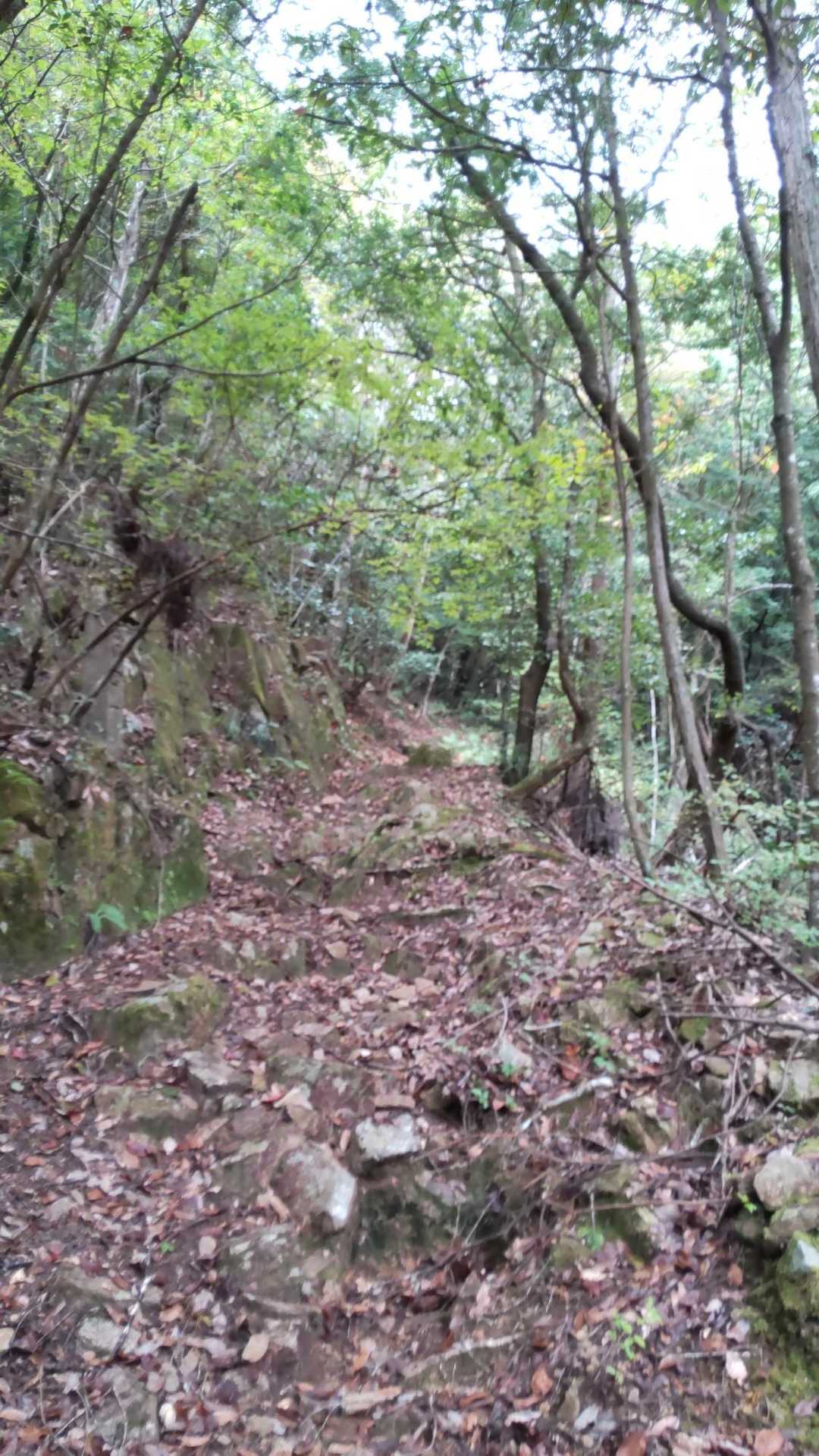 ここから石がゴロゴロしてます！
足首があっちこっちに捻られます！
武藤敬司のドラゴンスクリューをくらってるみたいです💦