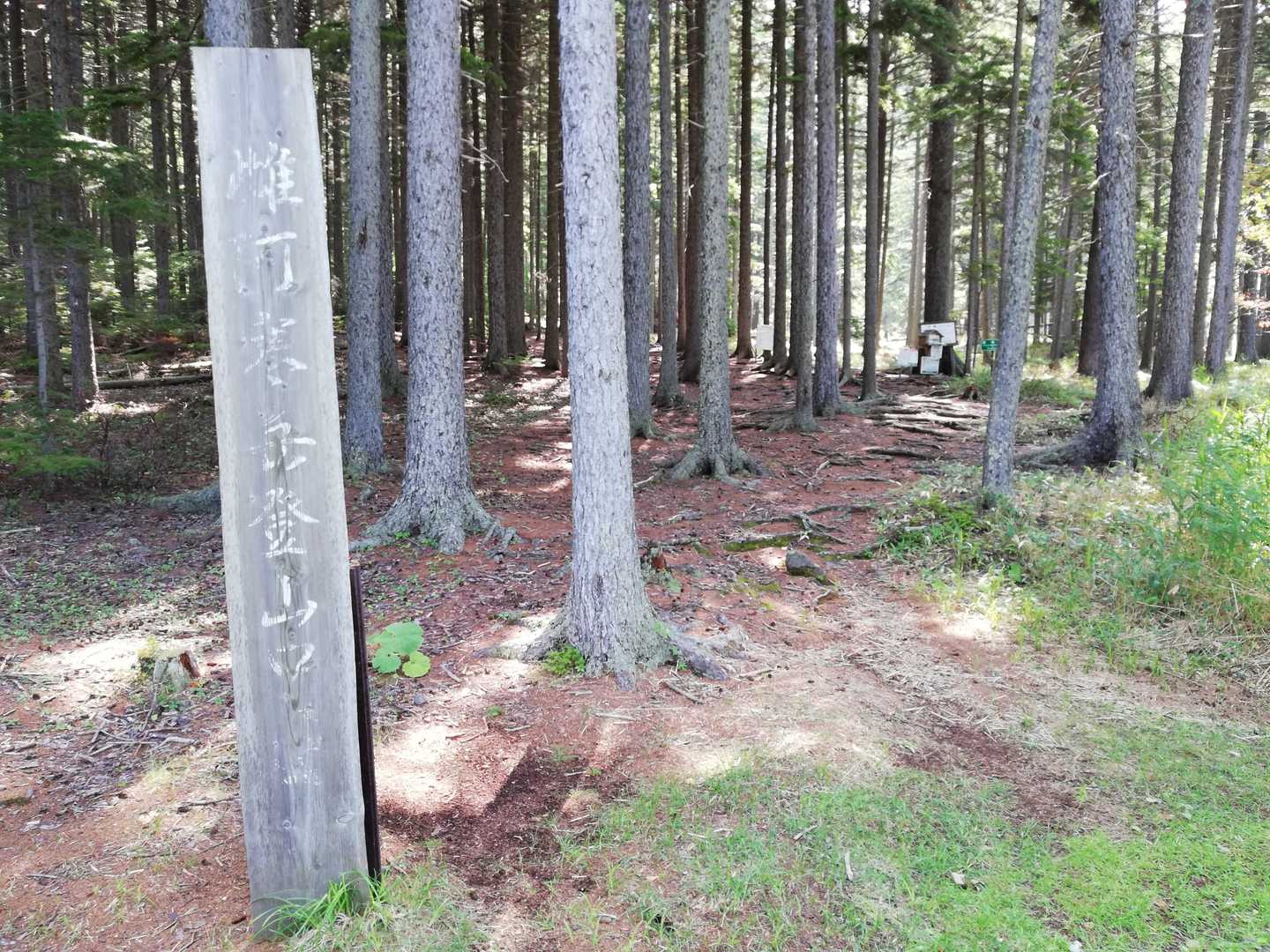 目的の一つはこの看板。昨日のどなたかの活動日記で知り、初めて見た。右奥が入山届け。