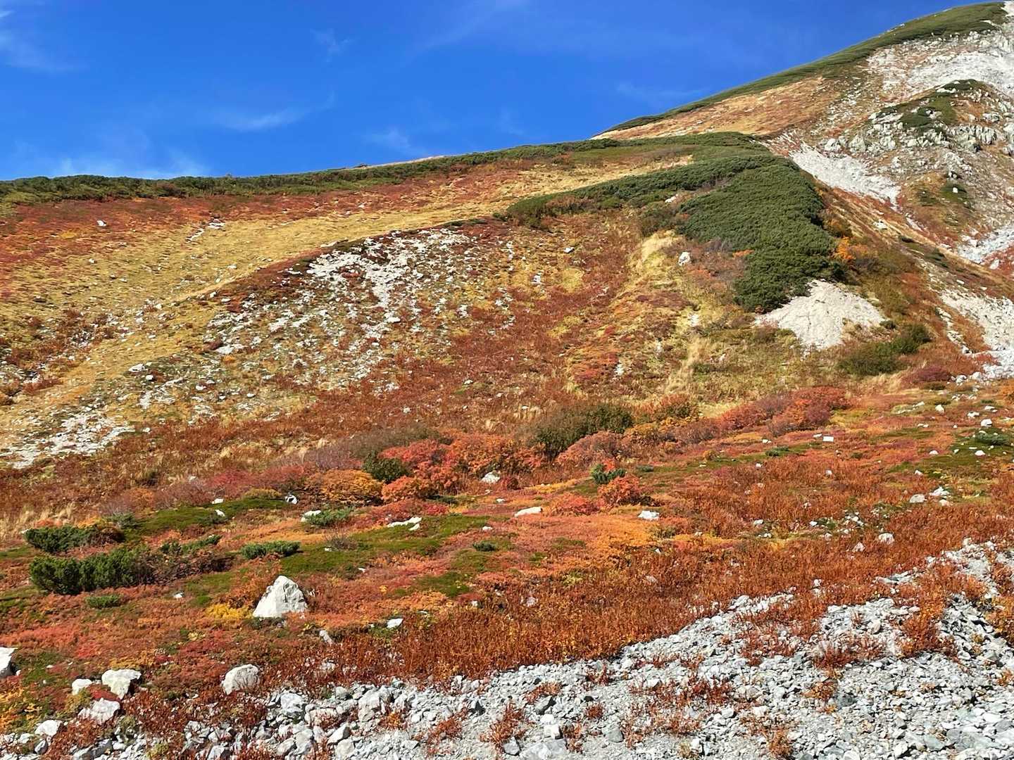 室堂登山口-別山-真砂岳 周回コースの写真