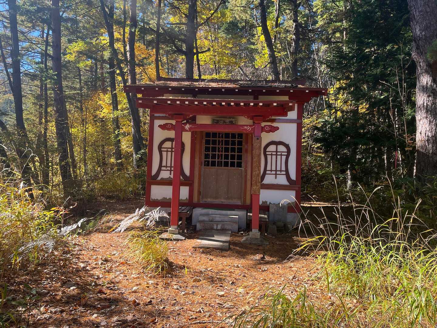 観音山 往復コースの写真