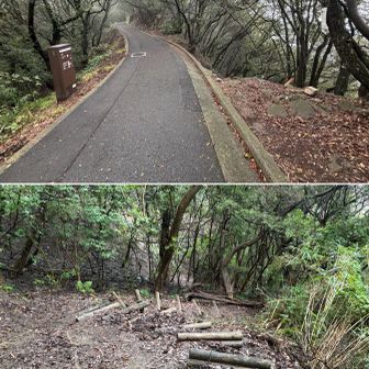 少年自然の家方向の破線Rは初…取付は安山岩の岩場(濡れると滑る⚠️写真無し)その下から荒れた丸太段の激下り