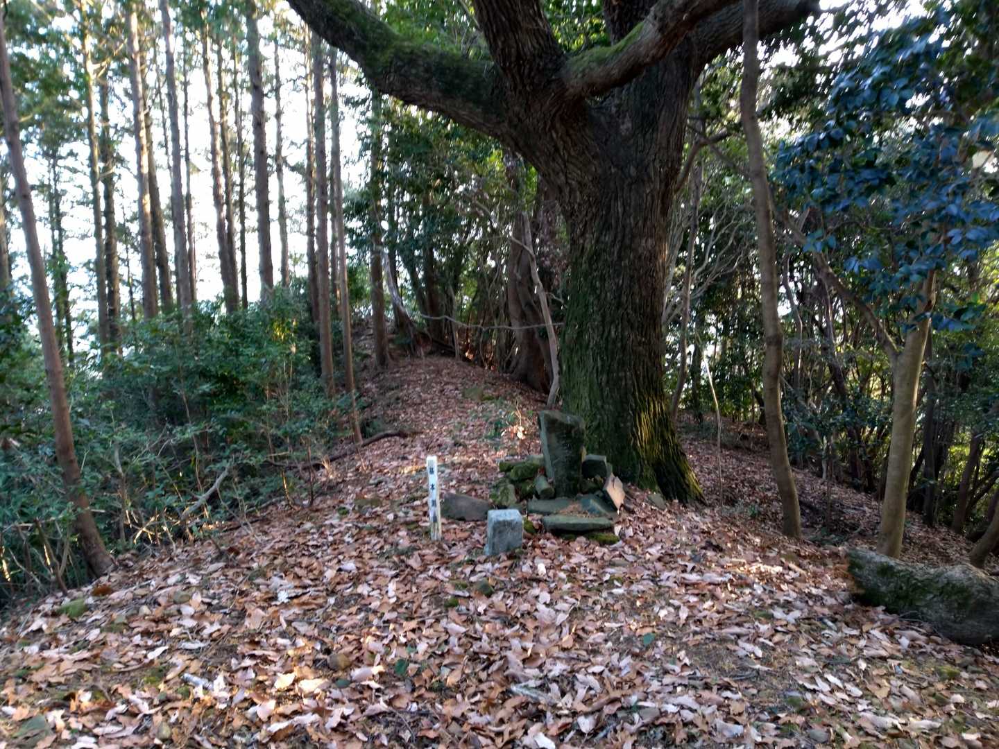 やっとたどり着きました❗️
朝来山山頂です😁