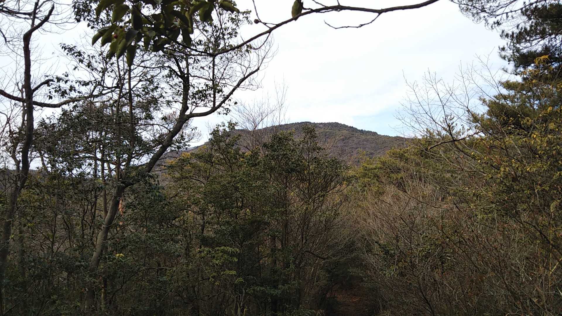 大峰山が見えました❗️