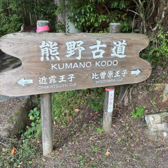 近露王子から再出発