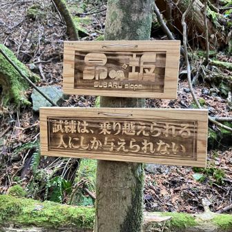 心折れかけたときに現れるメッセージ。背中を押されて最後の急登へ