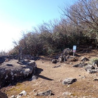 真富士山　到着デス　