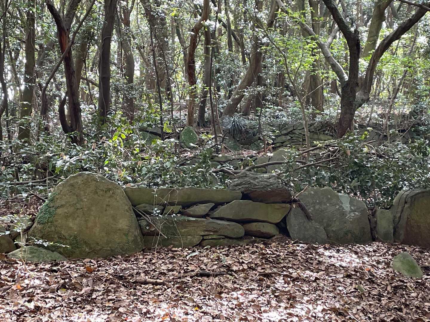 小鷹神社-遠見山 往復コースの写真