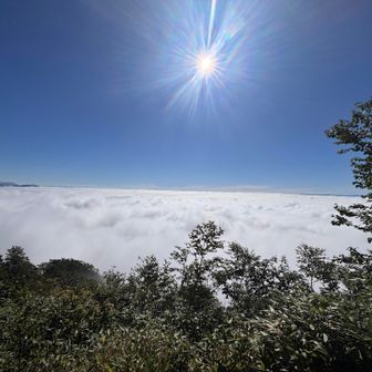 半面山から見えた景色。
途中から晴れたなーとは思っていましたが、雲海になっているのを知らず、おーっ✨‼️ってなりました😄