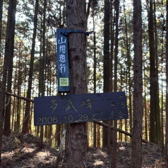 冬野の多武峰678m