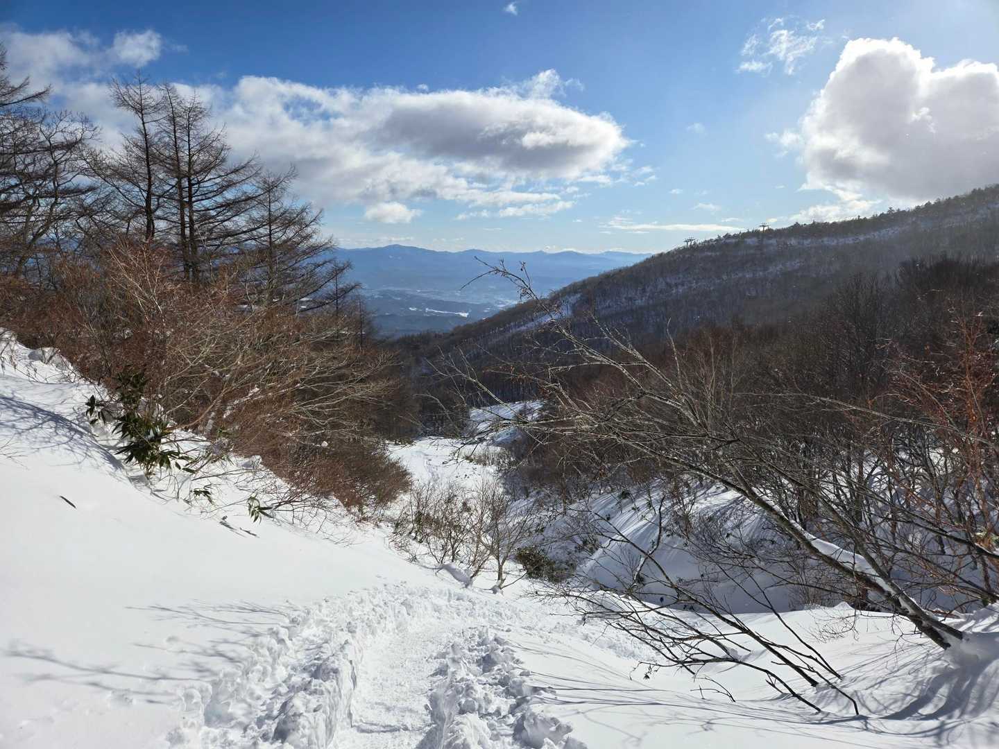 天気イイ