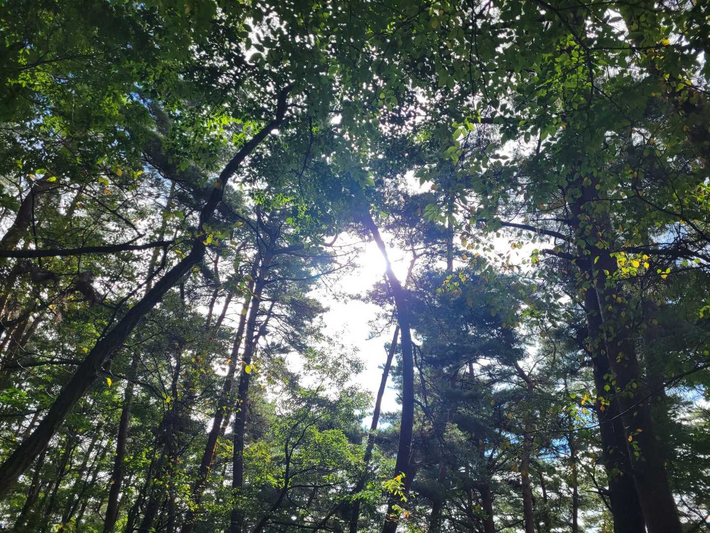 太陽出てきたかな？