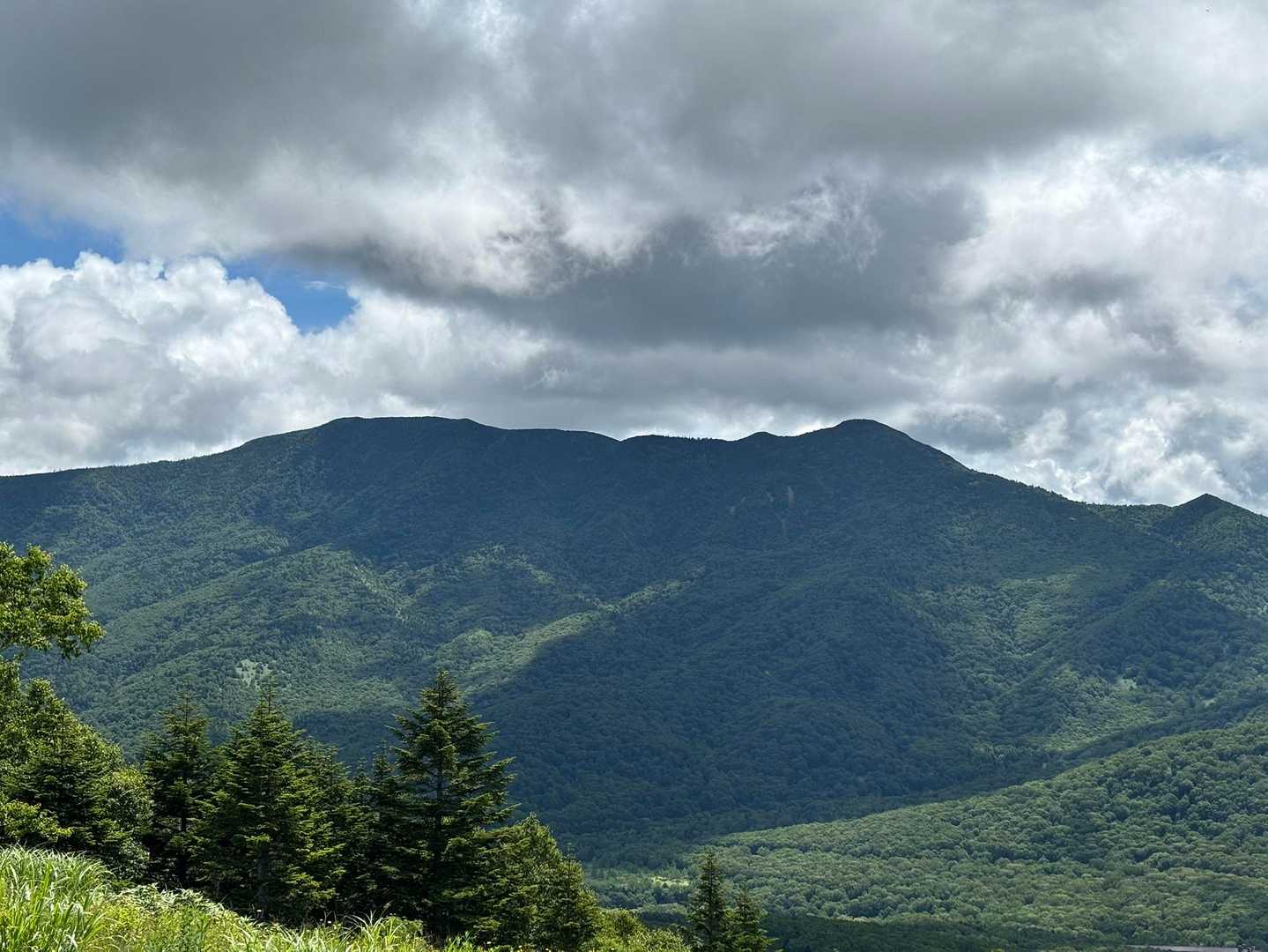 岩菅も晴れました