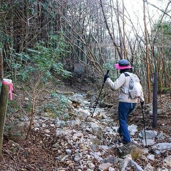 こんな歩きにくいガレ場のようなところも。