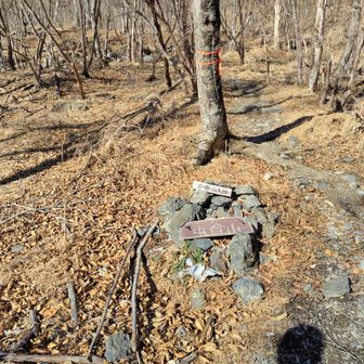 この後まさかの急登に💦