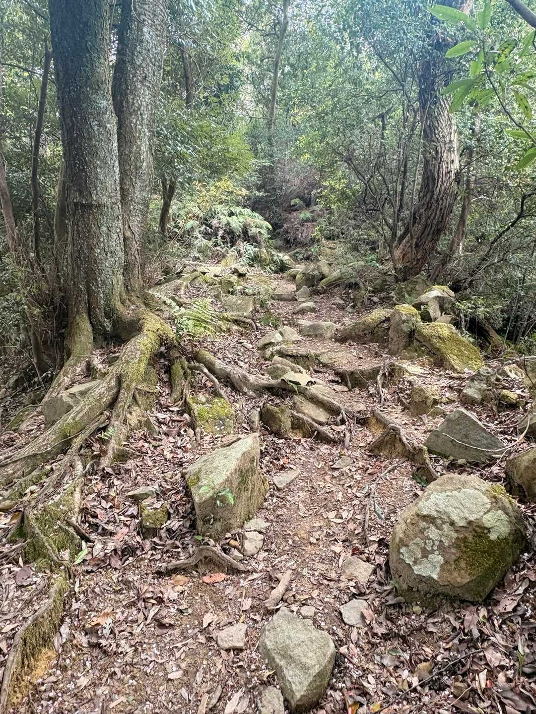 序盤からなかなか登ります💦