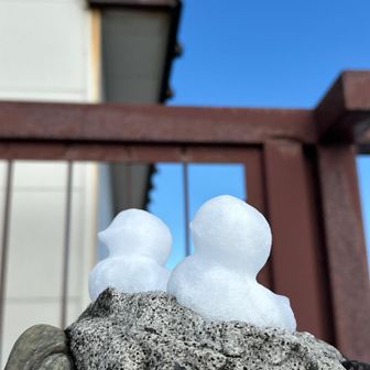 上手に作ってる☆