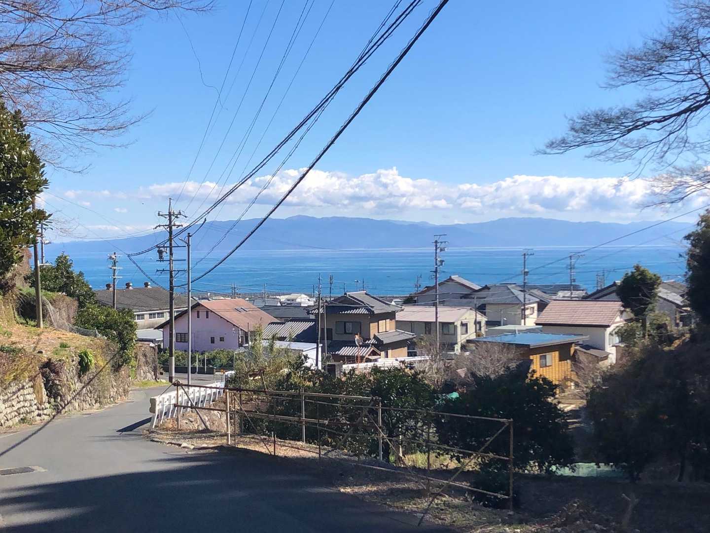 案内に従って住宅街からみかん畑エリアへ行くと、背後には青くて美しい駿河湾が✨