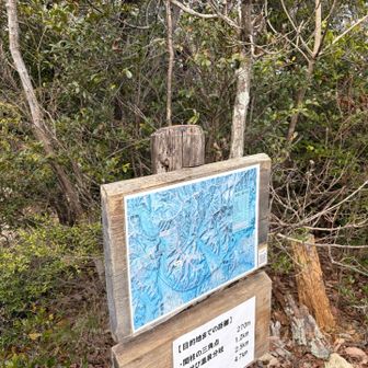 ここにいたリス🐿️が行方不明に😳❗️
その辺でうずくまってないか確認したものの発見できず😢