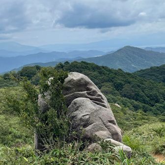 平べったいのでマゴチみたいなのでマゴチ岩