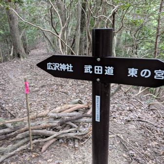 武田道でもどる　こちらのコースではまったく人に会わず
