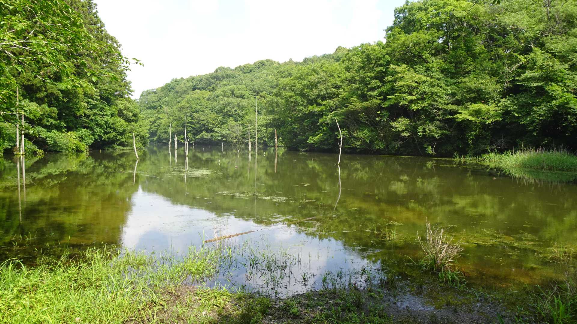 海上の森『大正池』