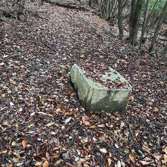 人工的な石、何かが以前あった場所？