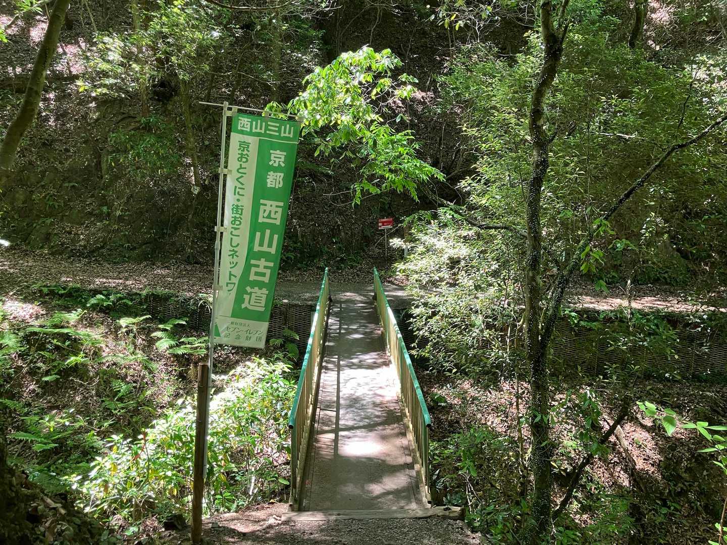 大沢山 往復コースの写真