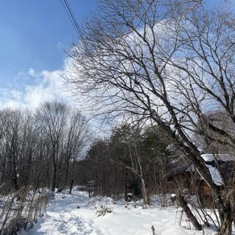 下山は足早に
スノーシューはここまで付けたまま

3時間で登り2時間弱で下りて来れた。

雪山のペースの把握も登山計画作る上では夏山よりも何かと慎重になっています。

下山後は何しようかと思ってましたが▶️▶️▶️