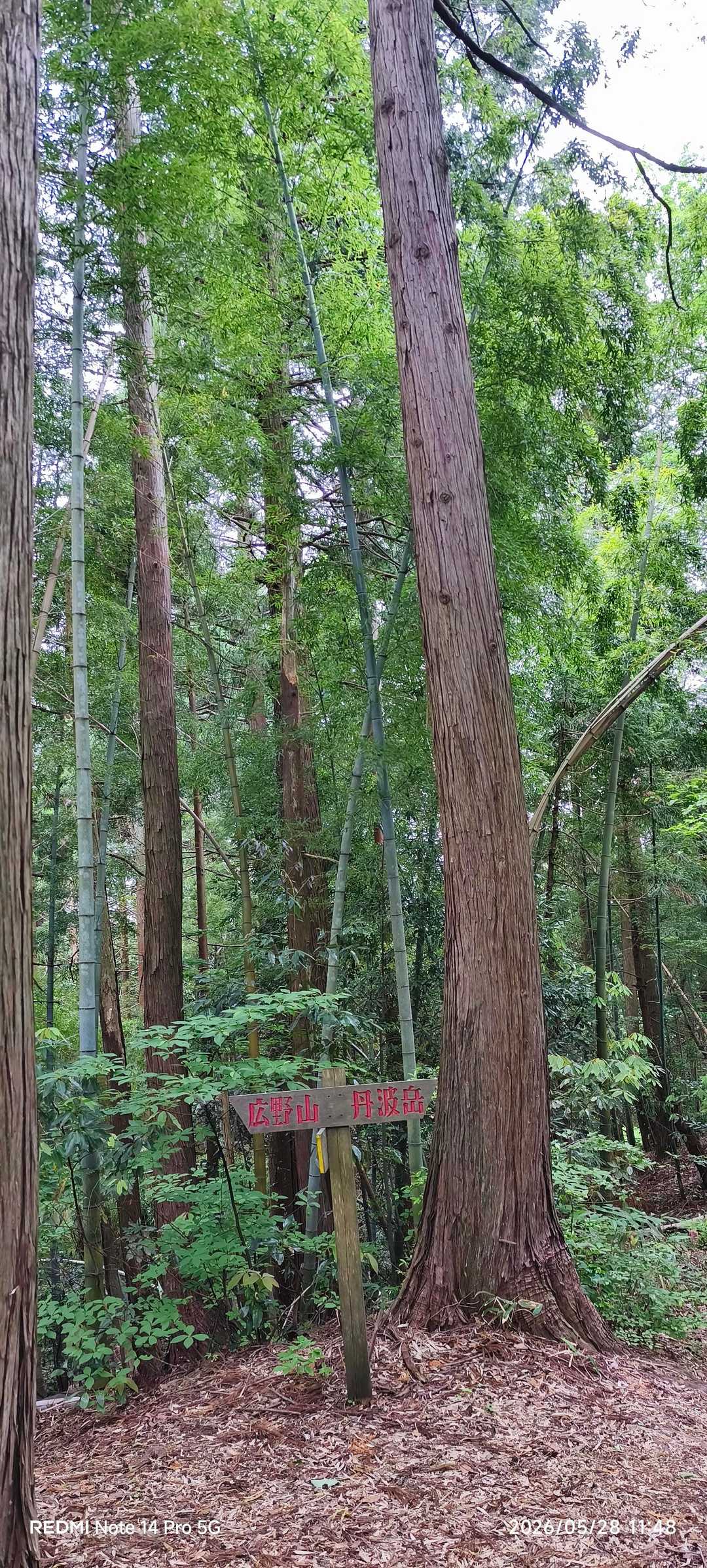 左側🫲広野山
右側🫱丹波山