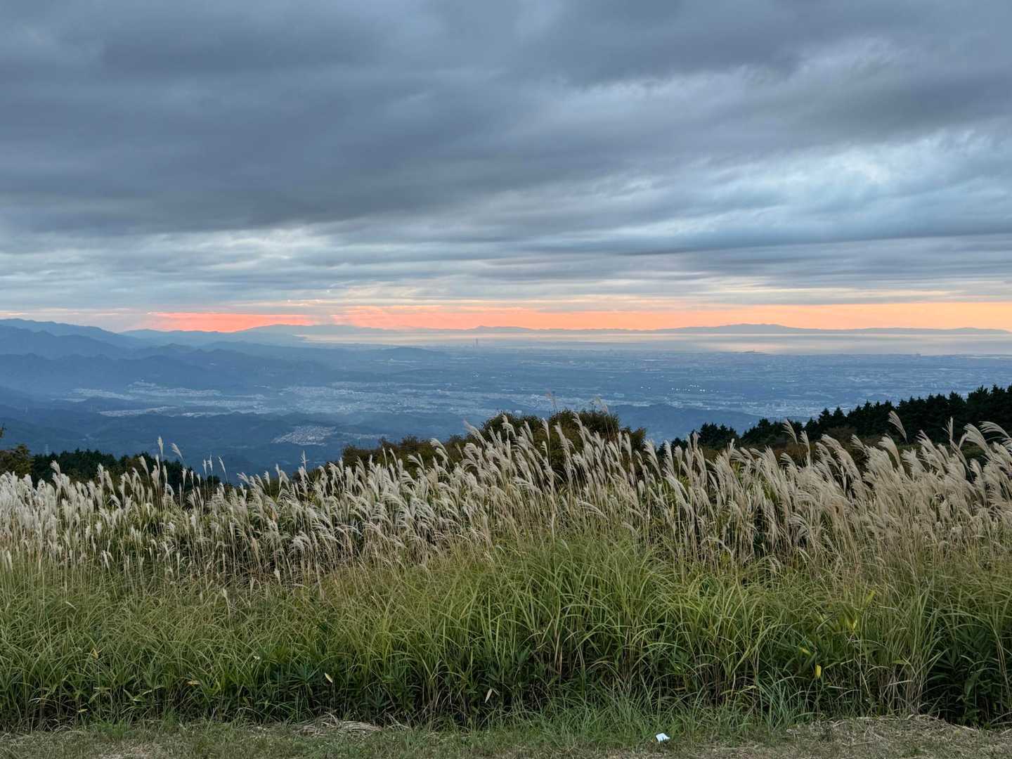 夕方も綺麗