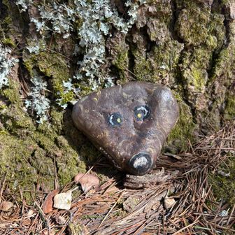 ヤング広場めっちゃ人いるー
人をかき分けかき分けポッキーくん🐶に会いに♫


まさかのうさ子がおらん😭
山頂引き返す
