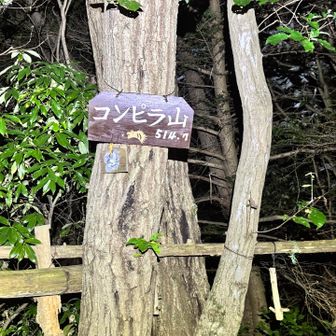 やっとここまで